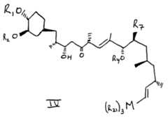 Figure imgf000007_0002