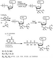 Figure BDA0003670511740004501