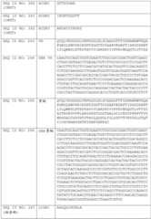 Figure BDA0002591526010000671