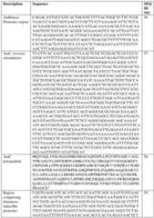 Figure imgf000181_0001