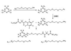 Figure 0007095041000082