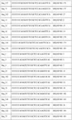 Figure imgf000042_0001