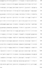 Figure IDA0000137962460000431