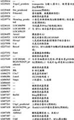 Figure BDA0000057170160000941