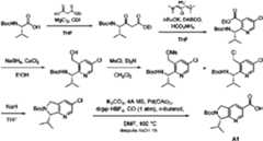 Figure imgf000015_0001