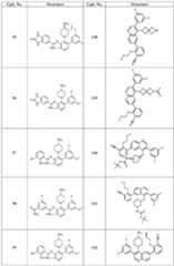 Figure imgf000050_0001