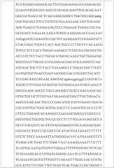 Figure GDA0002731146240002311