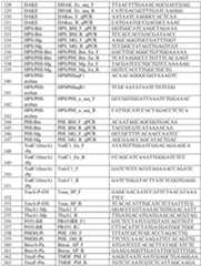 Figure imgf000280_0001