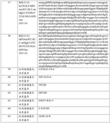 Figure BDA0003246179980001301