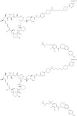 Figure US11364300-20220621-C00248