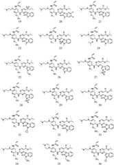 Figure BDA0002153963870000081