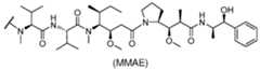 Figure imgf000033_0001