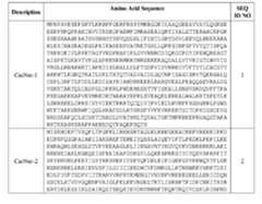 Figure imgf000049_0001
