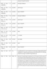 Figure BDA0002591526010000591