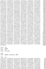 Figure IDA0002536600790000941