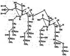 Figure imgf000015_0001