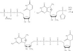 Figure US08093367-20120110-C00007