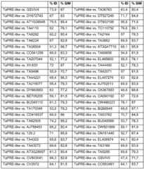 Figure imgf000111_0001