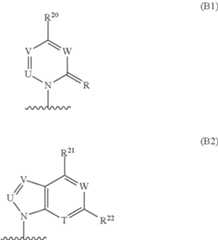 Figure US09675632-20170613-C00016