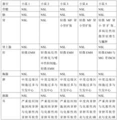 Figure GDA0002731146240002152