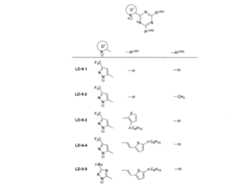 Figure JPOXMLDOC01-appb-C000041