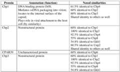 Figure imgf000056_0002