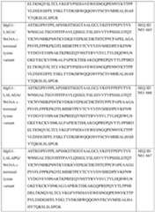 Figure imgf000262_0001