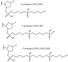 Figure imgf000056_0002