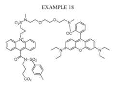 Figure imgf000073_0002