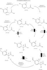 Figure US07250518-20070731-C00161