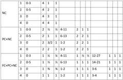 Figure BDF0000021155270000301