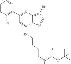Figure US08580782-20131112-C01952