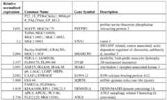 Figure imgf000052_0002