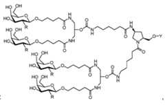 Figure imgf000126_0004