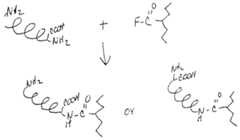 Figure imgf000020_0001