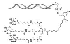 Figure 105140410-A0305-02-0076-25