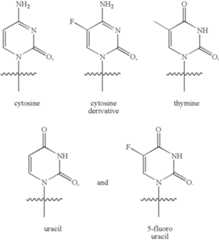 Figure US08361988-20130129-C00005