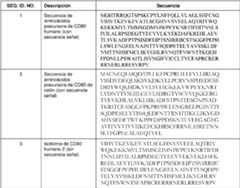 Figure imgf000024_0001