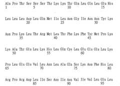 Figure 109130857-A0202-12-0454-716