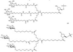 Figure imgf000121_0002