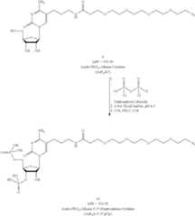 Figure US09206216-20151208-C00036