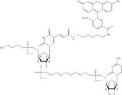 Figure US06627400-20030930-C00073