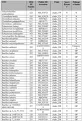 Figure imgf000391_0001