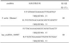 Figure BDA0001332263570000042