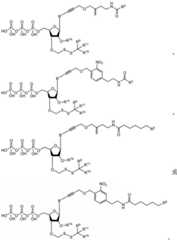 Figure BDA0003670511740003211