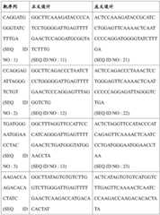 Figure BDA0002526715610000191