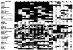Figure imgf000147_0002