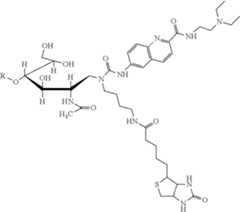 Figure US11747310-20230905-C00017