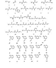 Figure BPA00001476434900451