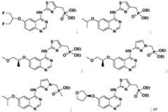 Figure imgf000007_0003